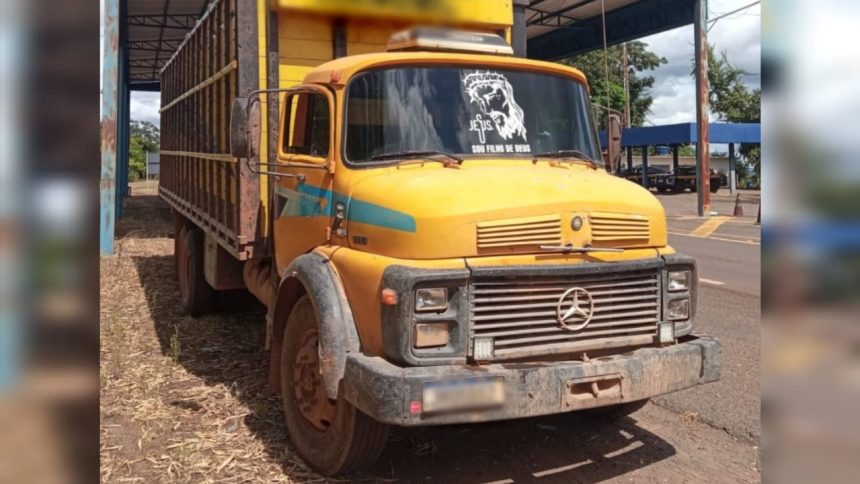 PRF apreende caminhão com 14 cavalos transportados sem documentação em Palmeiras do Tocantins PRF apreende caminhão com 14 cavalos transportados sem documentação em Palmeiras do Tocantins