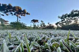 Simepar prevê queda nas temperaturas e possibilidades de geada na próxima semana