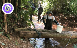 Mulheres na ciência: pesquisadoras fortalecem a biodiversidade no ICMBio