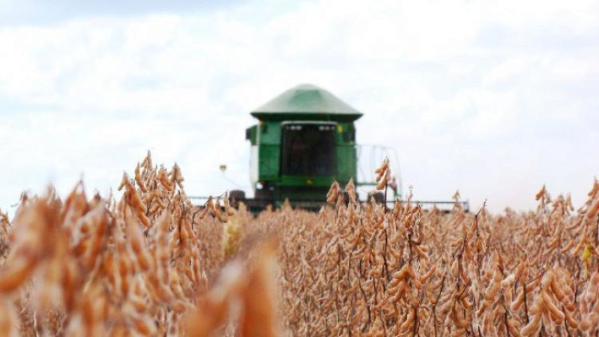 Mato Grosso do Sul é o 4º estado com mais pedidos de recuperação judicial no agronegócio