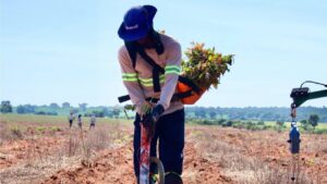 MS Florestal abre vagas em Bataguassu, Água Clara e Nova Alvorada do Sul para auxiliar de serviços gerais