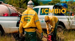 ICMBio abre processos seletivos para brigadistas e agentes ambientais temporários