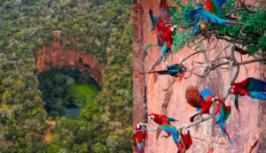Buraco das Araras consolida Jardim como destino estratégico do ecoturismo em Mato Grosso do Sul