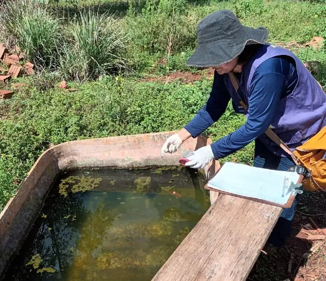 MS confirma 4ª morte por chikungunya em 2026 e casos avançam no Estado