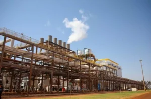 Mato Grosso do Sul projeta safra recorde com 5 bilhões de litros de etanol