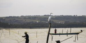 sexto-lote-do-seguro-defeso-sera-disponibilizado-na-terca-feira