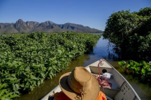 Prefeitura de Corumbá repudia declaração sobre pesca esportiva no Pantanal prefeitura-de-corumba-repudia-declaracao-sobre-pesca-esportiva-no-pantanal