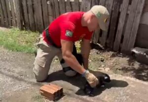 video:-caozinho-e-resgatado-pelos-bombeiros-de-fossa-desativada-em-corumba