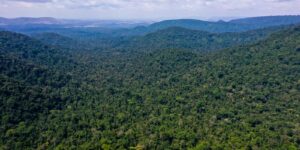Desmatamento no Amazonas caiu 32% entre agosto e fevereiro deste ano desmatamento-no-amazonas-caiu-32%-entre-agosto-e-fevereiro-deste-ano