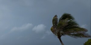 Chuvas atingem Norte, Nordeste e litorais de Sul e Sudeste esta semana chuvas-atingem-norte,-nordeste-e-litorais-de-sul-e-sudeste-esta-semana