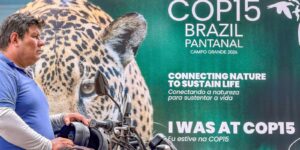 COP15 inclui mais 40 espécies migratórias em lista de proteção cop15-inclui-mais-40-especies-migratorias-em-lista-de-protecao