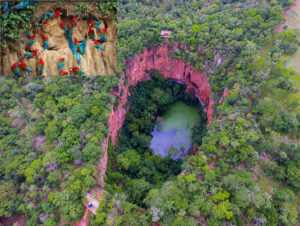 Buraco das Araras consolida Jardim como destino estratégico do ecoturismo em Mato Grosso do Sul