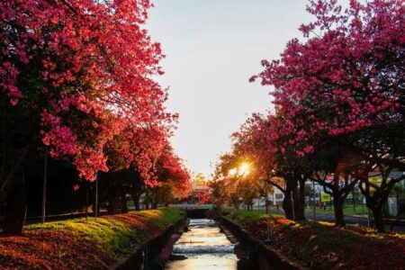 Calorão em MS volta com máxima de 34°C e alerta para chuva e ventos fortes