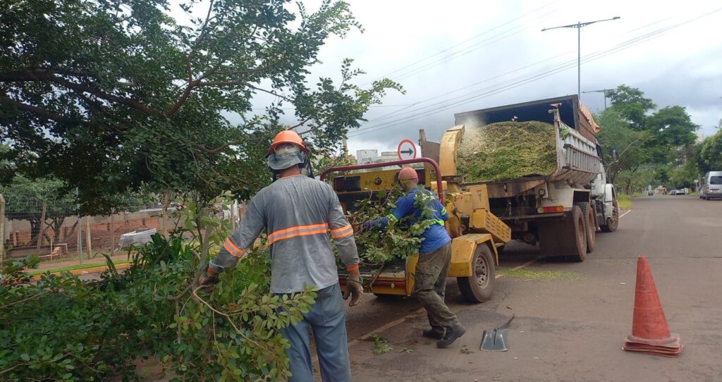 prefeitura qualifica-equipes-em-diagnostico-e-prevencao-de-queda-de-arvores 