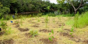 Serrinha do Paranoá (DF) vira parque para proteger ecossistemas serrinha-do-paranoa-(df)-vira-parque-para-proteger-ecossistemas
