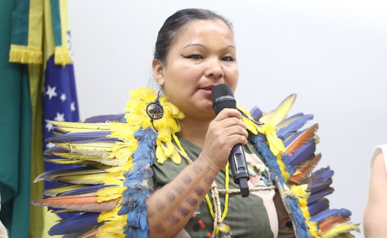 Lideranças indígenas cobram na Câmara criação de Comissão Nacional Indígena da Verdade liderancas-indigenas-cobram-na-camara-criacao-de-comissao-nacional-indigena-da-verdade