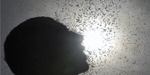Fenômeno El Niño deve atingir pico no fim do ano fenomeno-el-nino-deve-atingir-pico-no-fim-do-ano