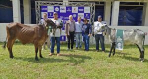 expogrande-tem-segunda-feira-marcada-por-julgamentos,-inovacao-e-negocios-no-agro