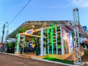 agronegocio:-camara-entrega-medalha-em-homenagem-a-tereza-cristina