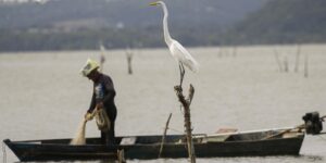 mudancas-aprovadas-para-o-seguro-defeso-previnem-fraudes,-diz-relator