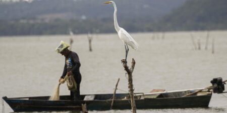 mudancas-aprovadas-para-o-seguro-defeso-previnem-fraudes,-diz-relator