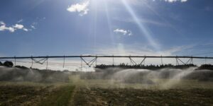 Ameaça sobre espécies dependentes do solo é desconhecida, diz estudo ameaca-sobre-especies-dependentes-do-solo-e-desconhecida,-diz-estudo