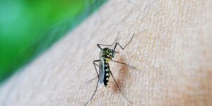 Estudo alerta para relação da dengue com a Síndrome de Guillain-Barré estudo-alerta-para-relacao-da-dengue-com-a-sindrome-de-guillain-barre