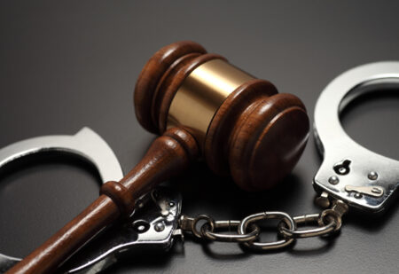 tjms-confirma-indenizacao-por-ataque-de-caes-a-animal-domestico