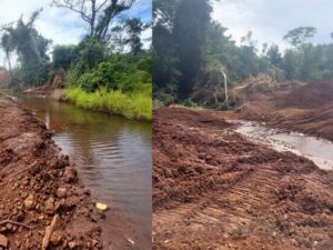 mp-investiga-dano-ambiental-em-area-protegida-de-maracaju-apos-acao-do-ibama