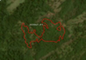 mpms-investiga-desmatamento-no-cerrado-e-aplica-multas-em-maracaju