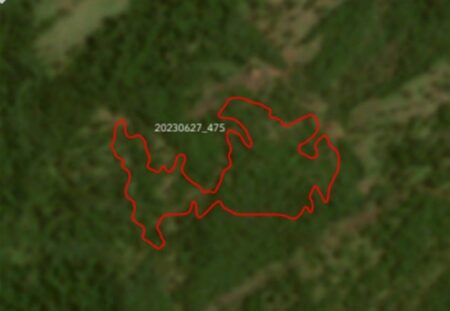 mpms-investiga-desmatamento-no-cerrado-e-aplica-multas-em-maracaju