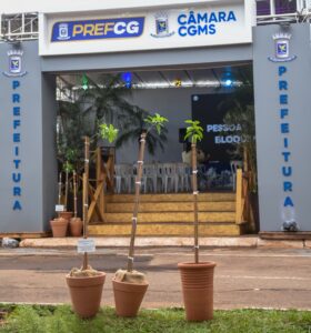 prefeitura-apresenta-mudas-clonadas-de-figueiras-historicas-na-expogrande