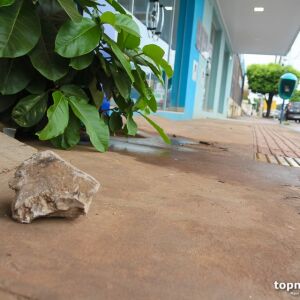 morador-de-rua-ataca-mulher-com-pedrada-no-coronel-antonino