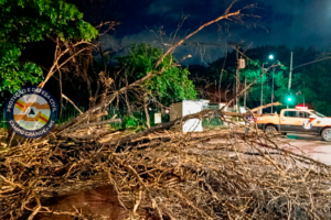 defesa-civil-atendeu-mais-de-40-ocorrencias-apos-temporal-em-campo-grande