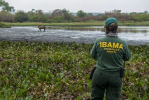 fiscalizacoes-no-pantanal-sao-ampliadas-em-ms-e-ja-somam-r$-4,7-milhoes-em-autuacoes