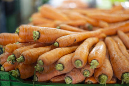 cenoura-sobe-8,3%-na-ceasa-ms-e-lidera-altas-da-semana