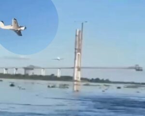 Vídeo viraliza com suposto avião de prefeito fazendo manobra ilegal em ponte da Rota Bioceânica video-viraliza-com-suposto-aviao-de-prefeito-fazendo-manobra-ilegal-em-ponte-da-rota-bioceanica
