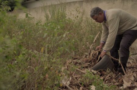 dengue-segue-sem-obitos,-mas-cresce-numero-de-cidades-com-alta-incidencia