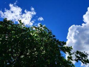 sabado-sera-de-calor-e-sol-entre-nuvens-em-paranaiba