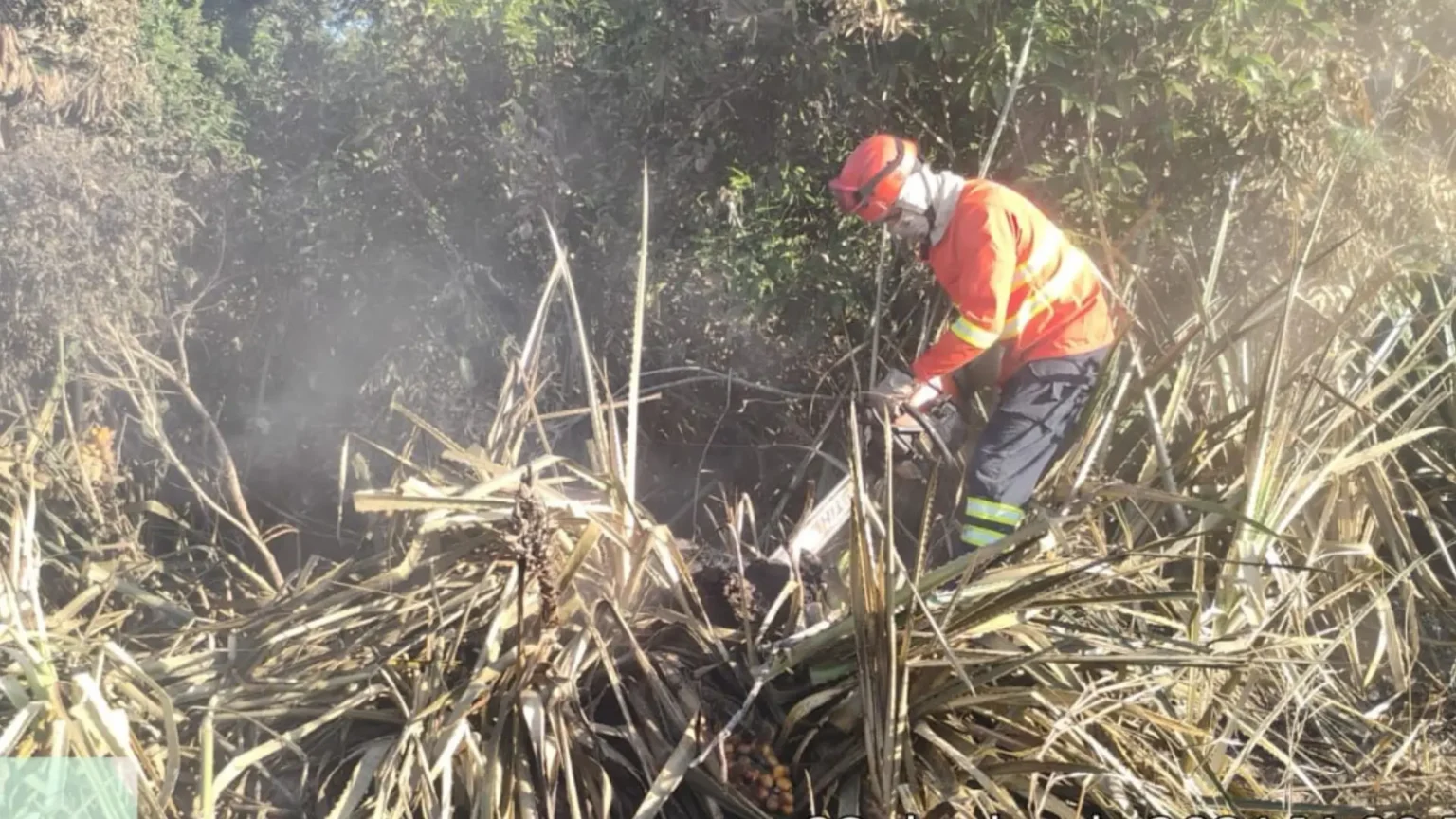 Bombeiros controlam incêndio no Pantanal após três dias de combate bombeiros-controlam-incendio-no-pantanal-apos-tres-dias-de-combate
