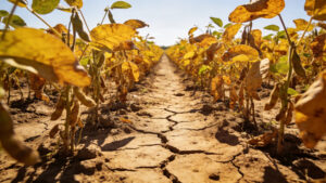 ms-tera-quinta-feira-de-sol-forte,-calor-e-baixa-umidade-do-ar