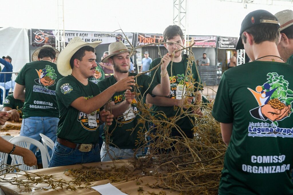 festa-do-pe-de-soja-solteiro-reune-produtores-e-celebra-forca-do-agronegocio-em-ms