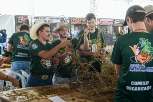 festa-do-pe-de-soja-solteiro-reune-produtores-e-celebra-forca-do-agronegocio-em-ms