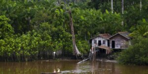 projeto-leva-tratamento-gratuito-a-doencas-negligenciadas-no-amazonas