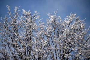 inmet-emite-aviso-de-baixas-temperaturas-com-risco-de-geada-em-rs-e-sc