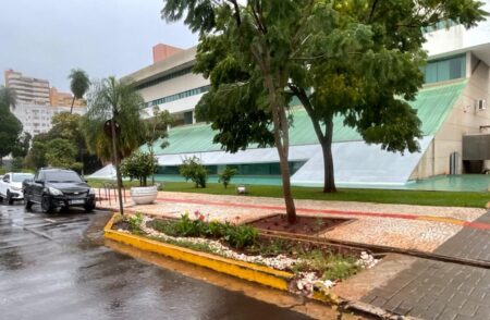 jardim-de-chuva-marca-novo-modelo-de-drenagem-sustentavel
