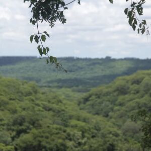 desmatamento-ilegal-em-area-protegida-gera-multa-de-r$-84-mil-em-rio-brilhante