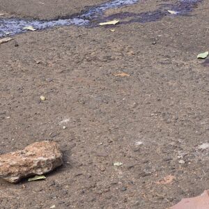 idoso-reage-a-assalto-e-tem-perna-quebrada-a-pedradas-no-monte-castelo