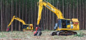 Suzano abre vagas com início imediato em Água Clara