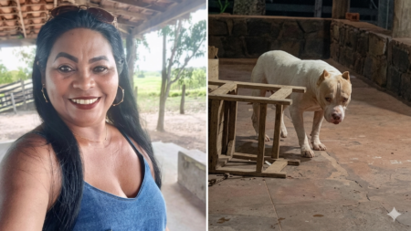Polícia investiga morte de mulher após ataque de pit bull em residência no Maranhão